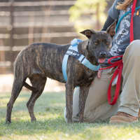 Photo of Maggie