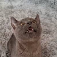 Photo of Marci