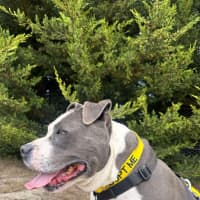 Photo of 🥊 Floyd 5607 🥊