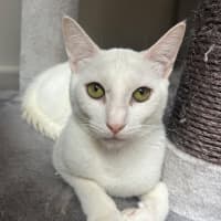 Photo of Casper 