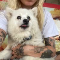 Photo of Fifi