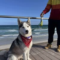 Photo of Karsha (Kay)