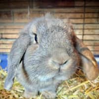 Photo of Denver And Heather