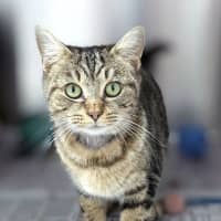 Photo of Evangeline