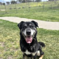 Photo of Zeus 
