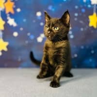 Photo of Barry   Located In Preston 