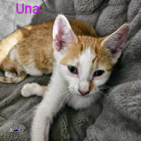 Photo of Una Meet Me @Petstock Keysborough Store