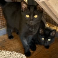 Photo of Marsha (And Alice)
