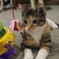 Photo of Sophie