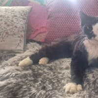 Photo of Cain (0004)