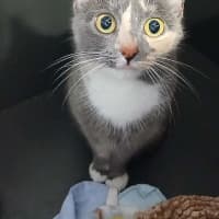Photo of Macey