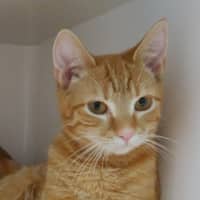 Photo of Hope Suk015170