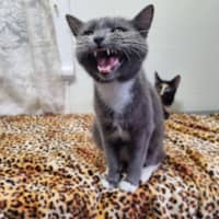 Photo of Phrada 🌒