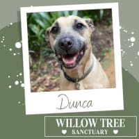 Photo of Dunca