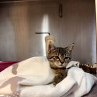 Photo of Arwen 