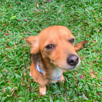 Photo of Tiny