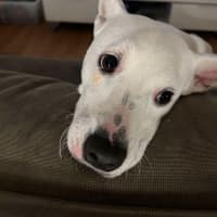 Photo of Lumi