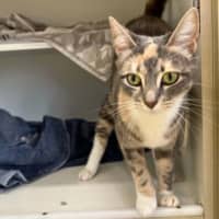 Photo of Dottie