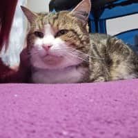 Photo of Dean