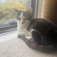 Photo of Maya   Sweet And Shy