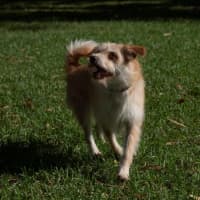 Photo of Buster Bulleau