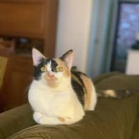 Photo of Maia   Located In Preston