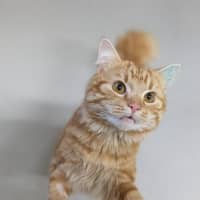 Photo of 🎃 Jonesy 6455 🎃