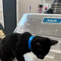 Photo of Adam (9992)