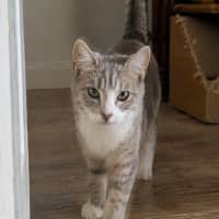 Photo of Leeloo