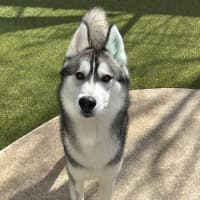 Photo of Jack 