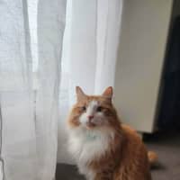 Photo of Baxter