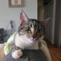 Photo of Mystic