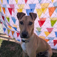 Photo of Milo