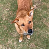 Photo of Thelma