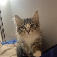 Photo of Taco