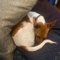 Photo of Lady Marmalade