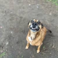 Photo of Buddy