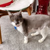 Photo of Principal Flutie 