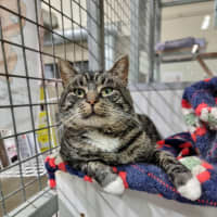 Photo of Boots