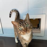 Photo of Lucy