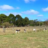 Photo of Huxley And Nyles