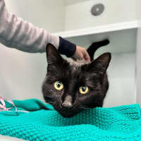 Photo of Missy
