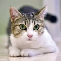 Photo of 🌷 Mia 🌷