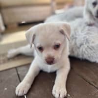 Photo of Disco 