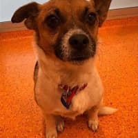 Photo of Hugo
