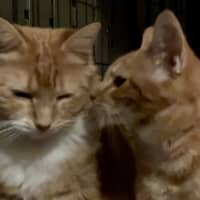 Photo of Zara And Leo