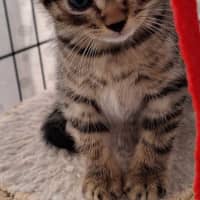 Photo of Timmy