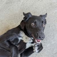 Photo of Minnie