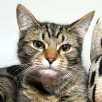 Photo of Oliver Suk015580