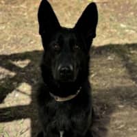 Photo of Storm